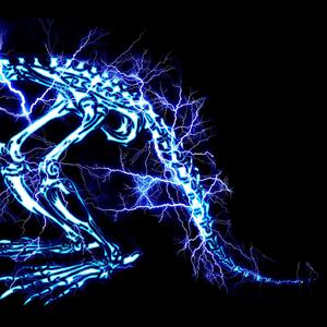 美女裸体100%㊙️无遮挡视
