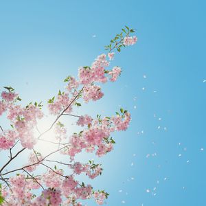 裸体美女精品BBBBBBBBB欣赏
