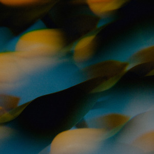 人与牲Ⅹⅹ❌❌❌
