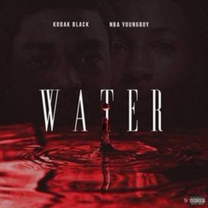 男人搞不进母犬怎么办呀
