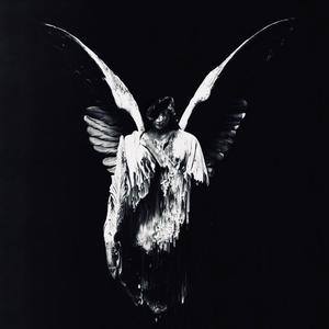 在线观看免费黄片兽人
