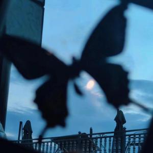 宋雨琦被啪到高潮下不了床
