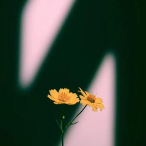 学大学生明星毛片
