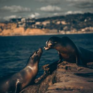 cosplay极品自慰网站
