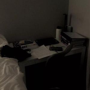 广东爱爱免费视频
