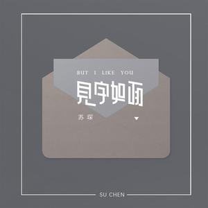 久久五月天综合网
