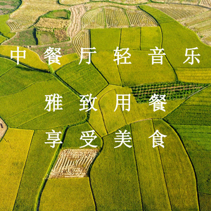 校园肉文合集呻吟网站
